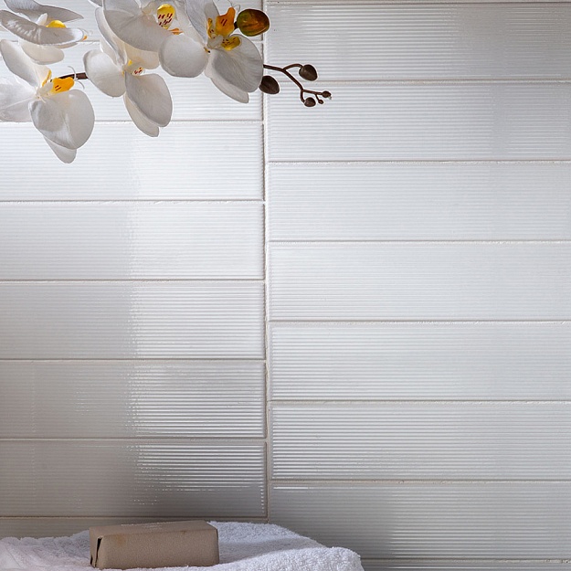 Amadis Stripes  фото Amadis Stripes