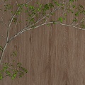 Laminam Zen Wood